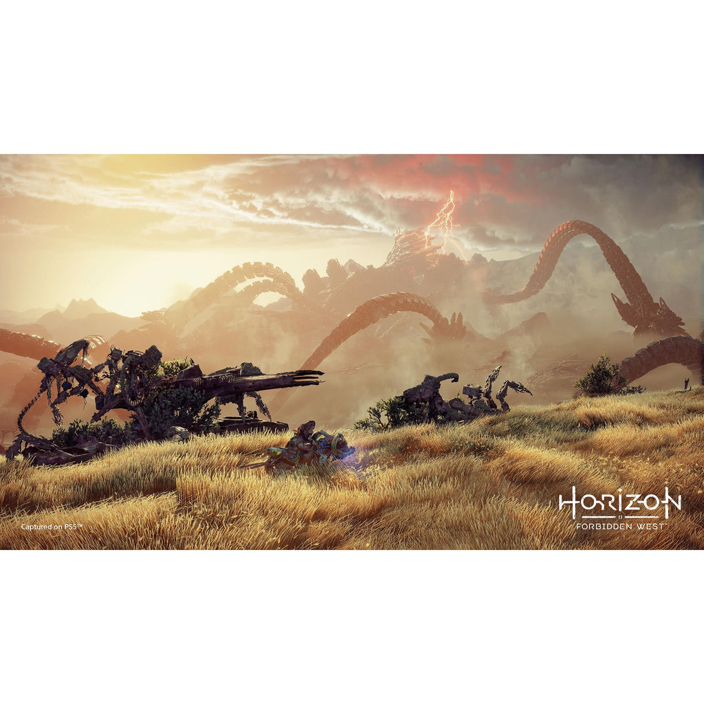 Horizon Forbidden West Special Edition