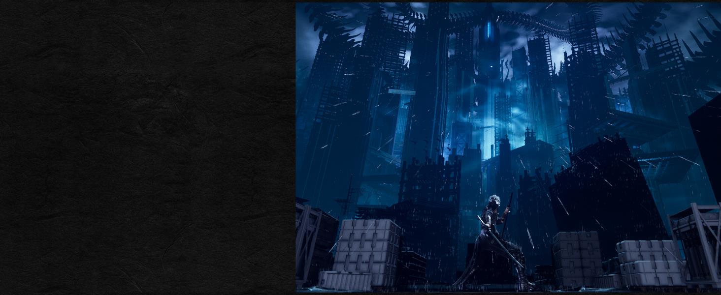 NINJA GAIDEN 4