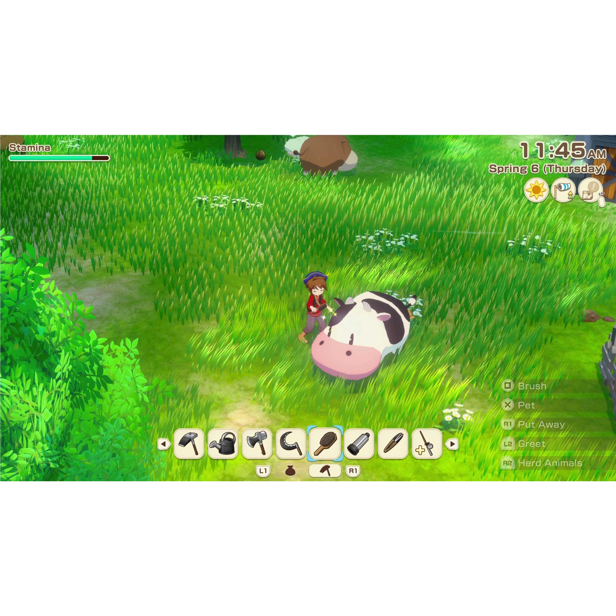 STORY OF SEASONS: Grand Bazaar